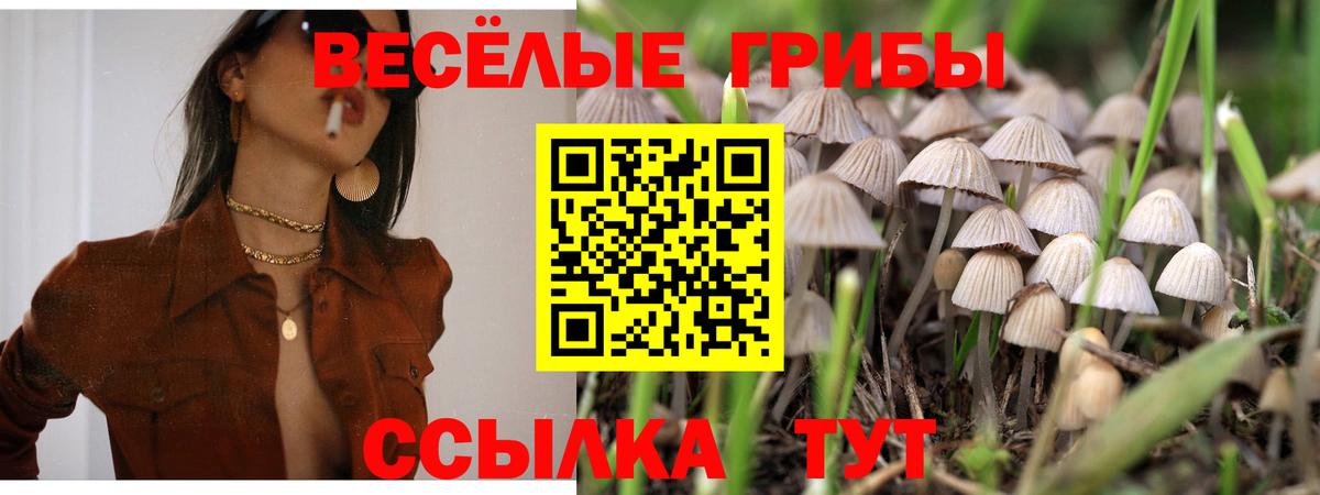 Галлюциногенные грибы ЛСД Люберцы